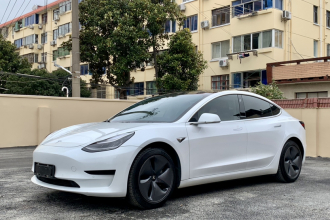 特斯拉 Model 3 2020款 标准续航后驱升级版
