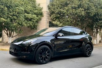 特斯拉 Model Y 2022款 改款 长续航全轮驱动版