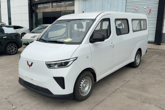 五菱汽车 五菱扬光 2024款 300km 舒适型客车版 75kW