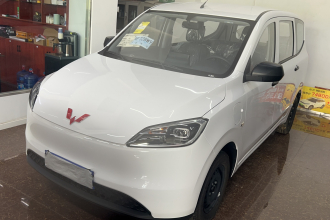 五菱汽车 五菱宏光新能源 2024款 纯电版 300KM 标准型