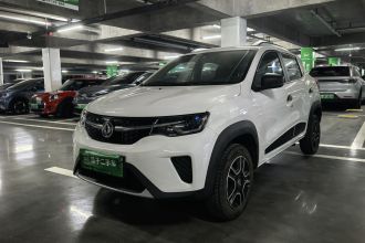 东风纳米EX1 2022款 改款 PRO 虎曜版进阶型