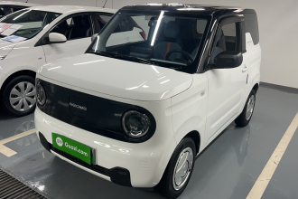 吉利银河 2024款 熊猫mini 200km 耐力熊