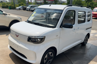 五菱汽车 五菱之光新能源 2025款 305km 进取型