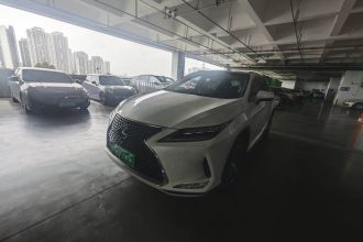 雷克萨斯RX 2020款 300 四驱典雅版 国VI