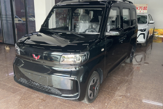 五菱汽车 五菱之光新能源 2025款 305km 进取型