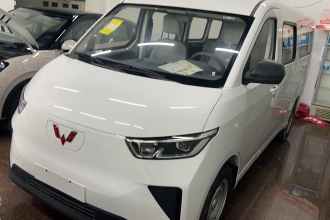 五菱汽车 五菱扬光 2024款 300km 舒适型客车版 75kW
