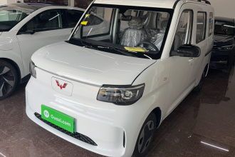 五菱汽车 五菱之光新能源 2025款 305km 进取型