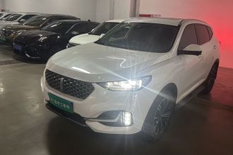 魏牌 VV6 2021款 2.0T 两驱智享+