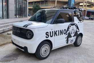 吉利银河 2023款 熊猫mini 200km 灵动熊