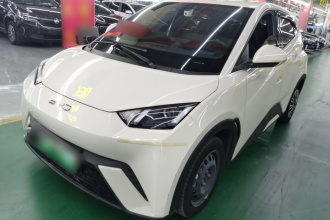 比亚迪 海鸥 2024款 荣耀版 305km 活力版