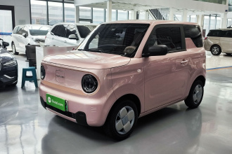 吉利银河 2024款 熊猫mini 200km 耐力熊