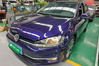 大众 高尔夫 2019款 280TSI DSG豪华型 国V