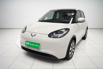 五菱汽车 五菱缤果 2024款 203km 轻享款