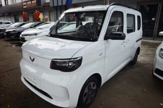 五菱汽车 五菱之光新能源 2025款 305km 进取型