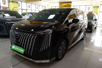 广汽传祺 传祺M8 2024款 大师系列 400T 尊贵版