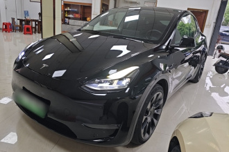 特斯拉 Model Y 2021款 标准续航后驱版