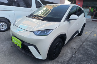 比亚迪 海鸥 2025款 305km 活力版