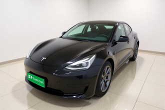 特斯拉 Model 3 2020款 改款 标准续航后驱升级版