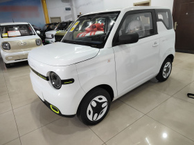 吉利银河 2025款 熊猫mini 210km 元气熊