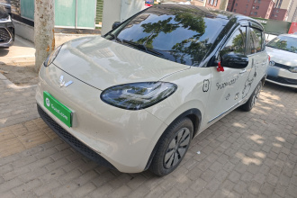 五菱汽车 五菱缤果 2023款 203km 舒享款