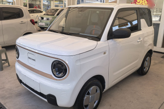 吉利银河 2023款 熊猫mini 200km 耐力熊