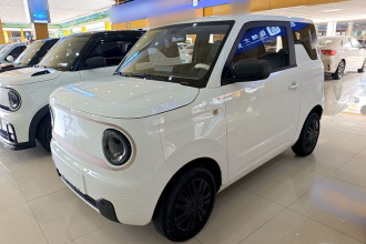 吉利银河 2023款 熊猫mini 200km 耐力熊