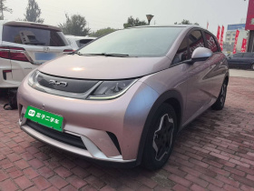 比亚迪 海豚 2021款 405km 时尚版