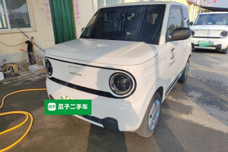 吉利银河 2024款 熊猫mini 200km 耐力熊