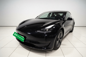 特斯拉 Model 3 2020款 改款 标准续航后驱升级版