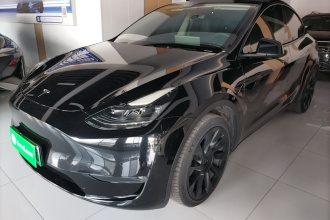 特斯拉 Model Y 2021款 标准续航后驱版