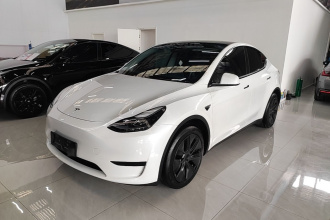 特斯拉 Model Y 2024款 后轮驱动版
