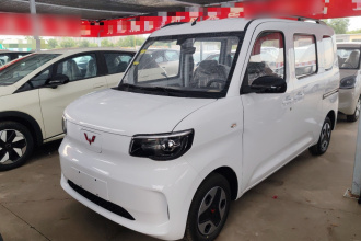 五菱汽车 五菱之光新能源 2025款 305km 进取型