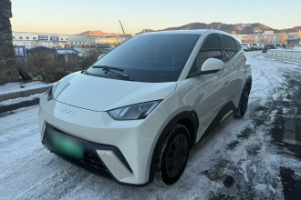 比亚迪 海鸥 2024款 荣耀版 305km 活力版