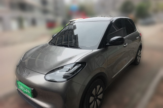 五菱汽车 五菱缤果 2024款 333km 悦享款