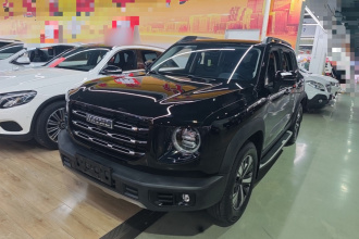 哈弗大狗 2022款 1.5T DCT两驱拉布拉多版