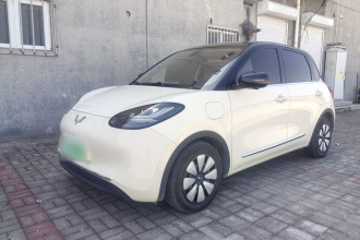 五菱汽车 五菱缤果 2025款 410km 灵犀尊享款