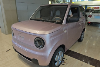 吉利银河 2023款 熊猫mini 200km 耐力熊