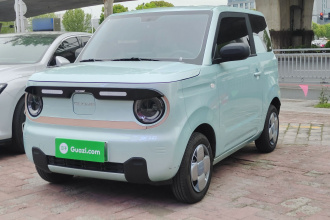 吉利银河 2024款 熊猫mini 200km 耐力熊