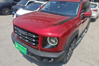 哈弗大狗 2021款 1.5T DCT两驱马犬版