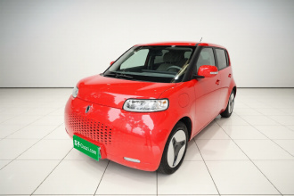 欧拉白猫 2020款 360km 豪华型