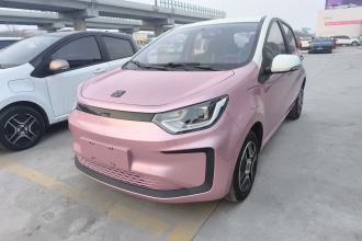 思皓 花仙子 2021款 集美版 302km 时尚型