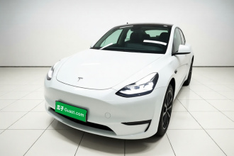 特斯拉 Model Y 2024款 长续航全轮驱动版