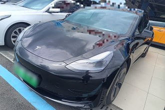 特斯拉 Model 3 2022款 后轮驱动版