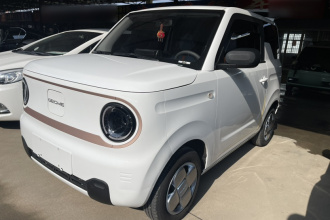 吉利银河 2023款 熊猫mini 200km 耐力熊