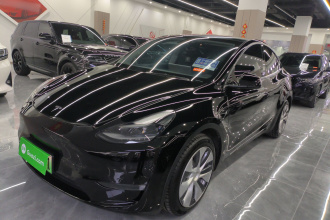 特斯拉 Model Y 2021款 标准续航后驱版