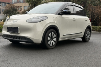 五菱汽车 五菱缤果 2024款 333km 悦享款