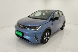 比亚迪 海豚 2025款 智驾版 410km 时尚版