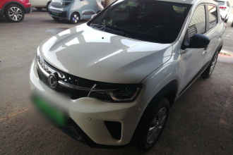 东风纳米EX1 2022款 PRO 悦星型