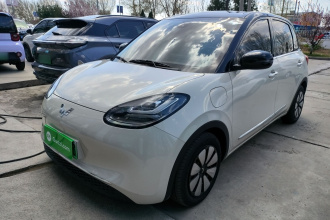 五菱汽车 五菱缤果 2023款 333km 悦享+款