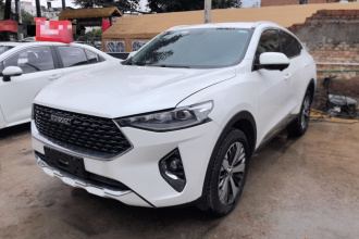 哈弗F7x 2019款 1.5T 两驱极智潮玩版